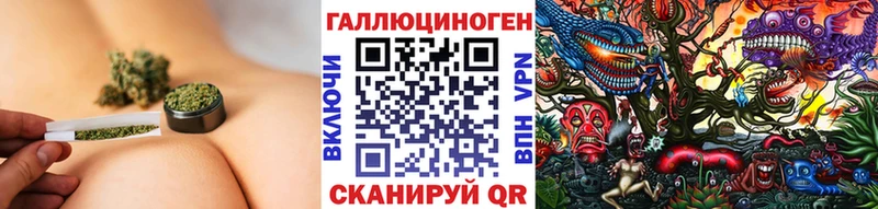 закладки  Юрьев-Польский  Галлюциногенные грибы Psilocybine cubensis 